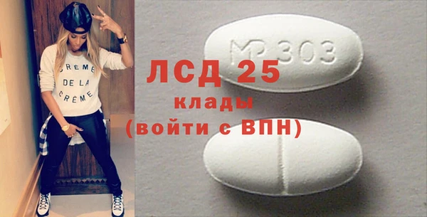 дживик Бородино