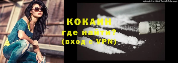 дживик Бородино