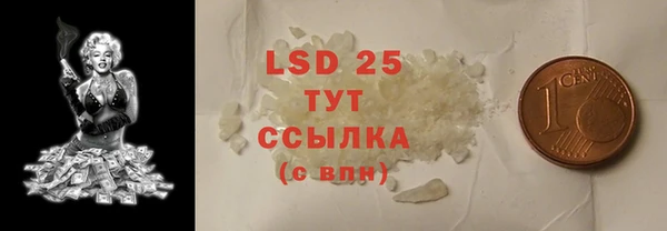 дживик Бородино