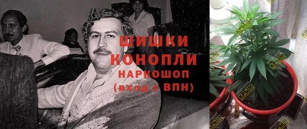 дживик Бородино