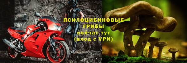 mdpv Бронницы