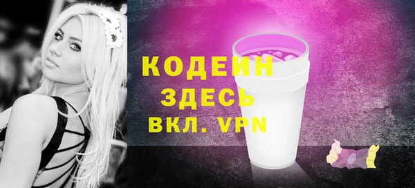 дживик Бородино