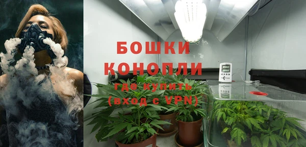 дживик Бородино