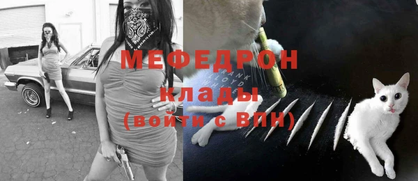 дживик Бородино
