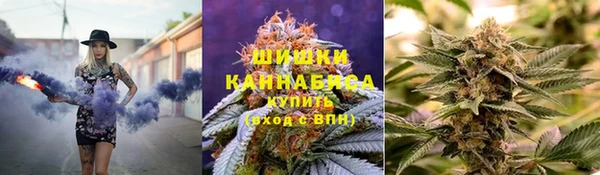 дживик Бородино